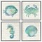 Stupell Industries Aquatic Sea Life Impressions 4pc Framed Giclee Set Design by Susan Arnot